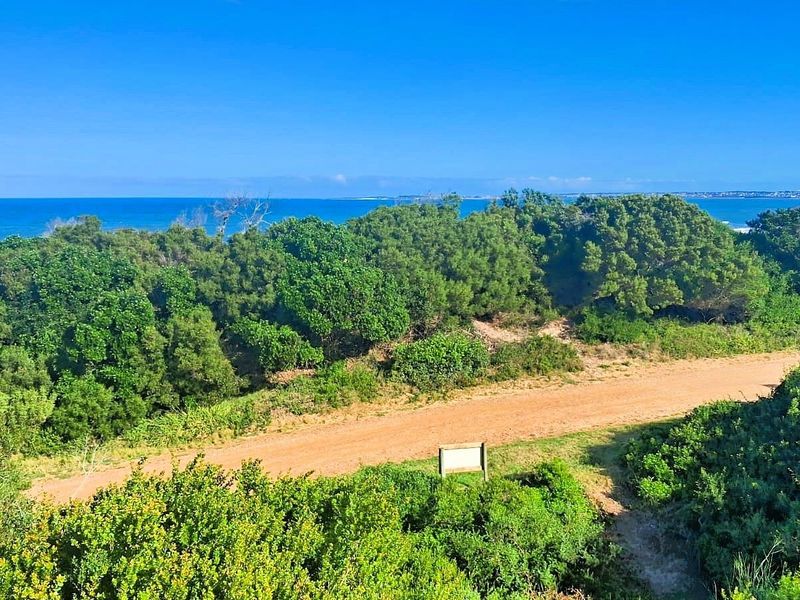 A scenic elevated view of the coastal landscape featuring native vegetation and a dirt access path leading toward the ocean.