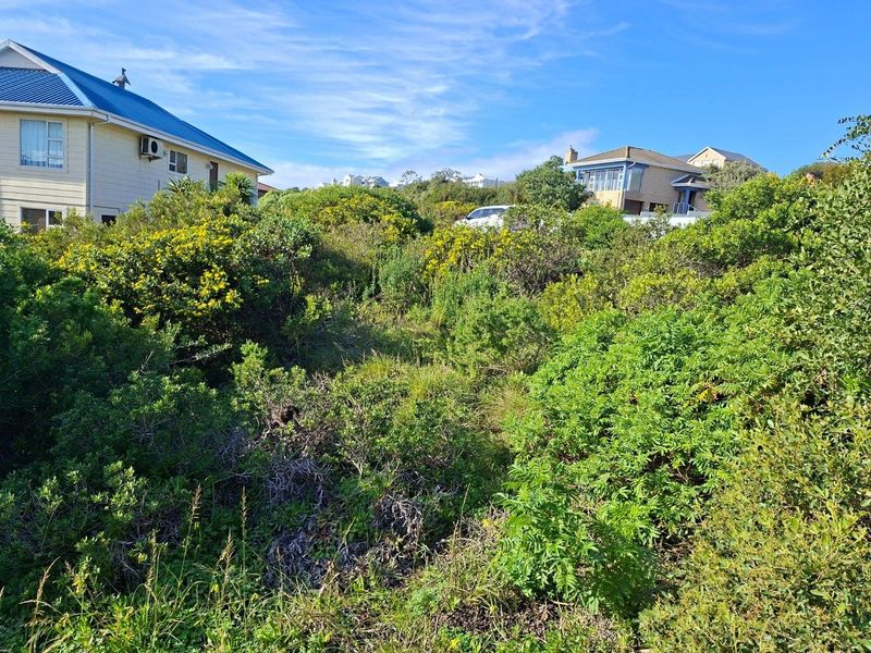Vacant Land For Sale in Vleesbaai - Photo 6