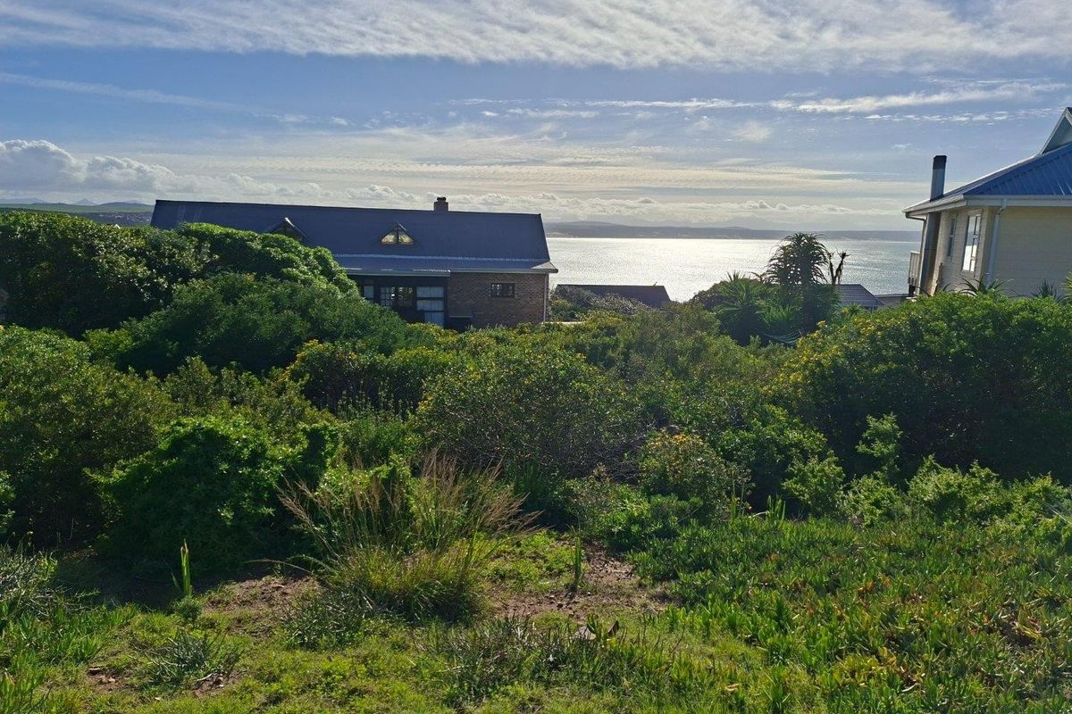 A scenic view overlooking coastal vegetation with a distant ocean horizon and neighboring residential structures.