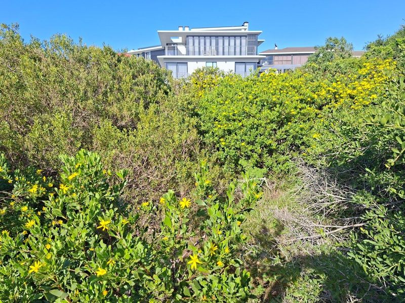 Vacant Land For Sale in Vleesbaai - Photo 2