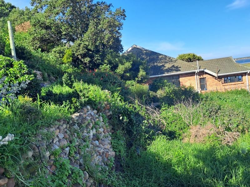 A Rare Riverside Sanctuary in Amsterdamhoek - Photo 5