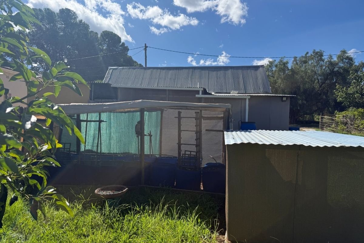 Rear view of the property showing a corrugated metal roof structure and an outdoor enclosure area set within a garden space.
