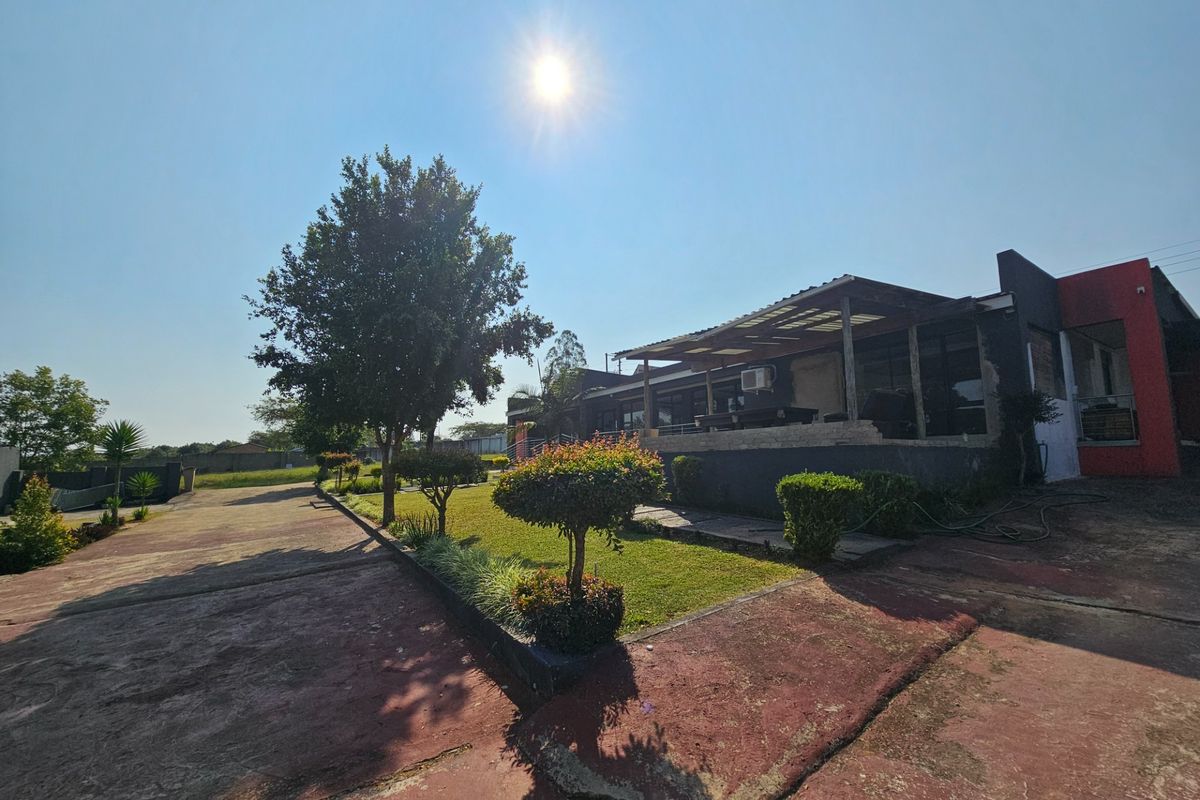 Rear exterior view of the property featuring a covered patio area, concrete driveway, and established garden space.