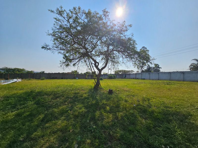A spacious, level garden area enclosed by a perimeter wall, featuring a mature central tree and open grass space.