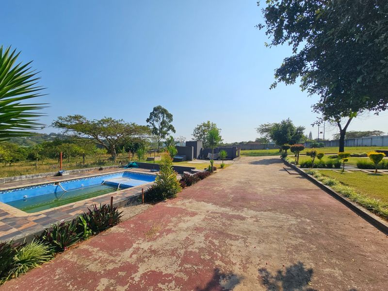 Outdoor area featuring a swimming pool, expansive paved driveway, and landscaped garden space with surrounding boundary walls.