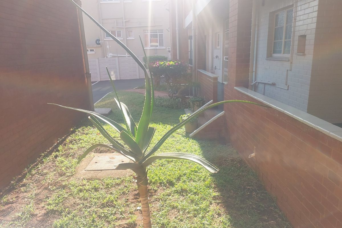 A view of the rear exterior area featuring a brick facade, a small lawn, and a drainage cover.