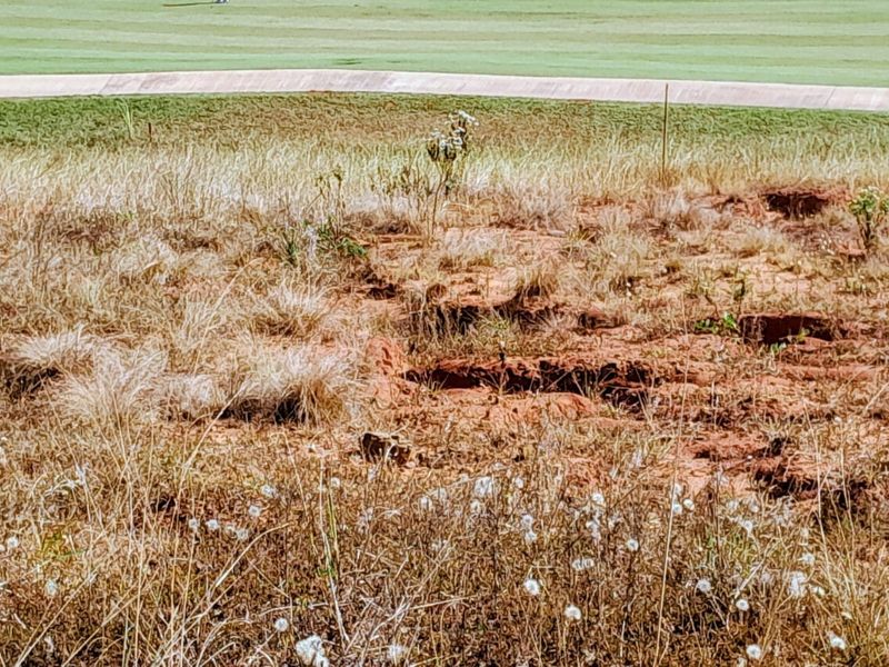 Where Vision Meets Value - A Landmark Homesite in Zimbali Lakes Resort - Photo 7