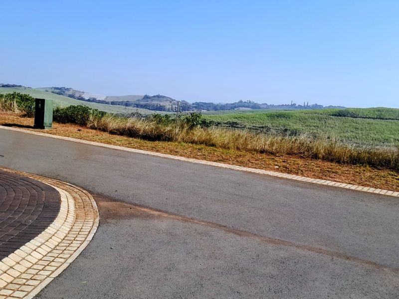 Where Vision Meets Value - A Landmark Homesite in Zimbali Lakes Resort - Photo 10