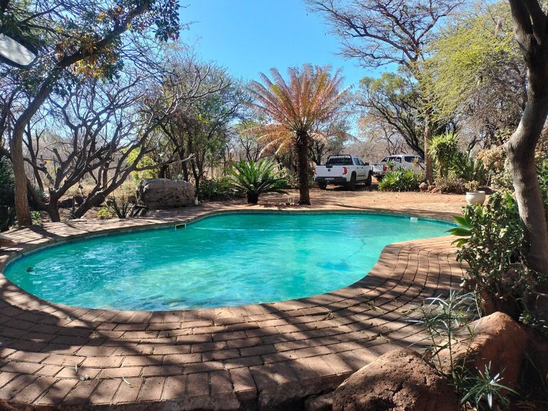 A swimming pool area featuring a curved pool with brick paving surround, set within a natural, tree-filled garden landscape.