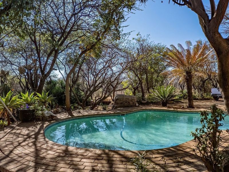 A tranquil outdoor pool area featuring a circular swimming pool with a brick surround, nestled within a mature, shaded garden setting.
