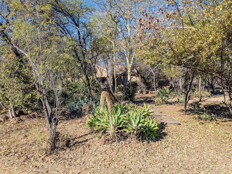 A natural, wooded garden area featuring mature trees, indigenous shrubs, and a stone pathway leading toward the property residence.