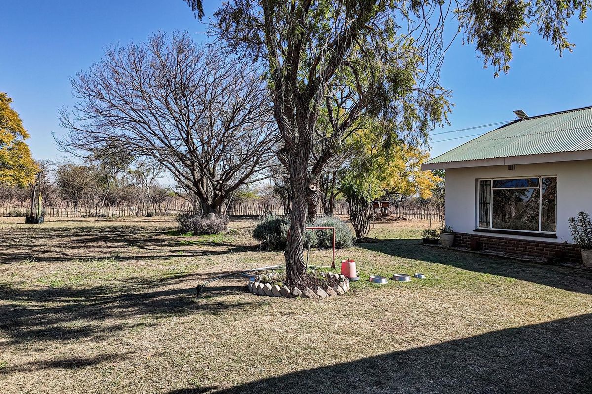 A view of the rear garden and exterior facade of the farmhouse, featuring a corrugated metal roof and established trees.