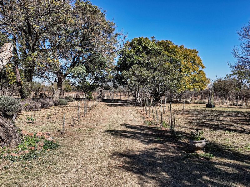 Farm For Sale in Dinokeng Game Reserve, Wonderboom - Photo 3