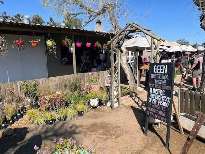 A rustic outdoor patio area featuring a timber pergola entrance, covered seating space, and surrounding garden landscaping on a farm property.