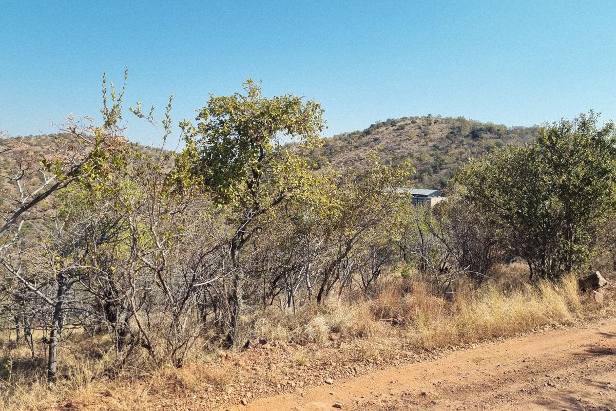 A scenic view of the natural landscape and surrounding hills, featuring a dirt access road in the foreground.