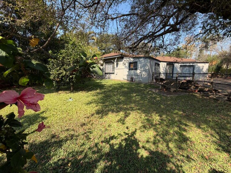Spacious Fixer-Upper Potential on Corner Stand near Kruger - Photo 5
