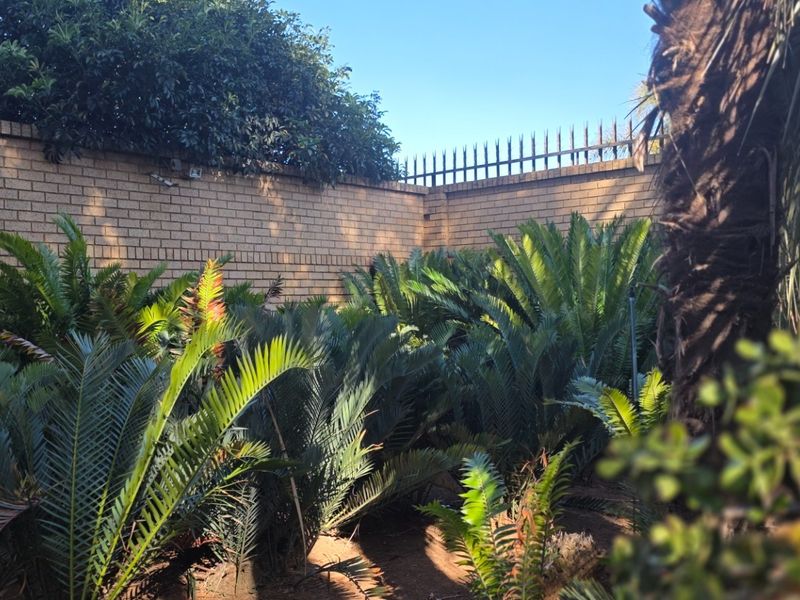 A private garden area featuring established cycad plants enclosed by a high brick boundary wall with security spikes.