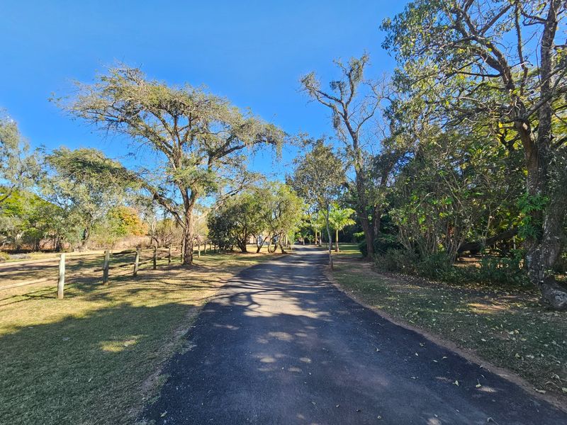 A scenic paved driveway leading through a lush, tree-lined garden area on a small holding property.