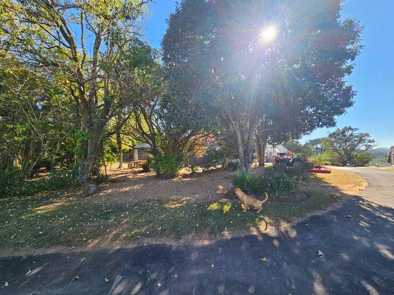 A view of the property's garden area featuring mature trees and a paved driveway approach.