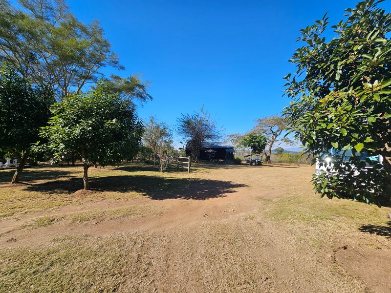 A spacious, open garden area on a small holding featuring mature trees and established fencing under a clear blue sky.