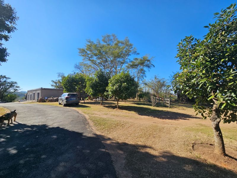 Spacious garden area featuring mature trees, established landscaping, and an asphalt driveway leading towards the property structures.