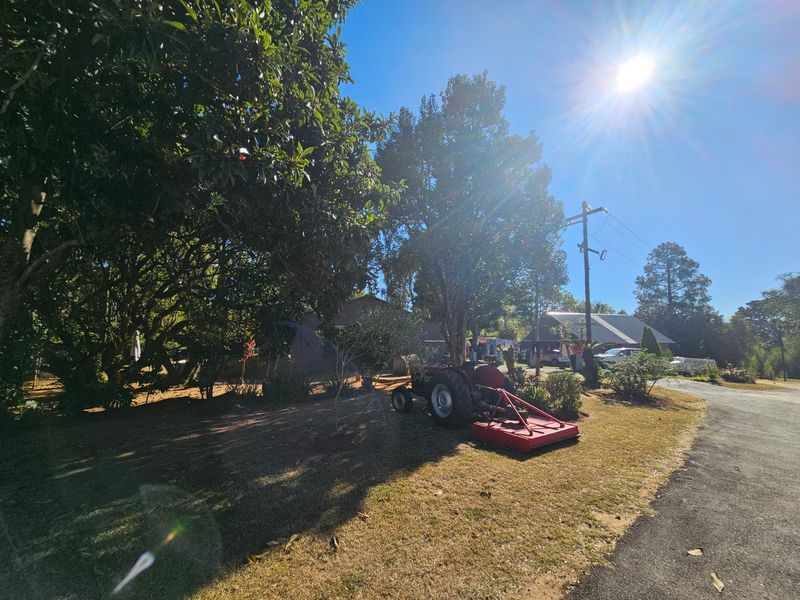 A spacious garden area on a small holding featuring mature trees and a paved driveway approach.