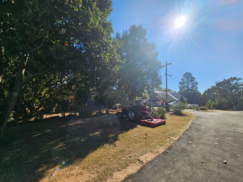 A spacious garden area on a small holding featuring mature trees, established landscaping, and a paved driveway approach.