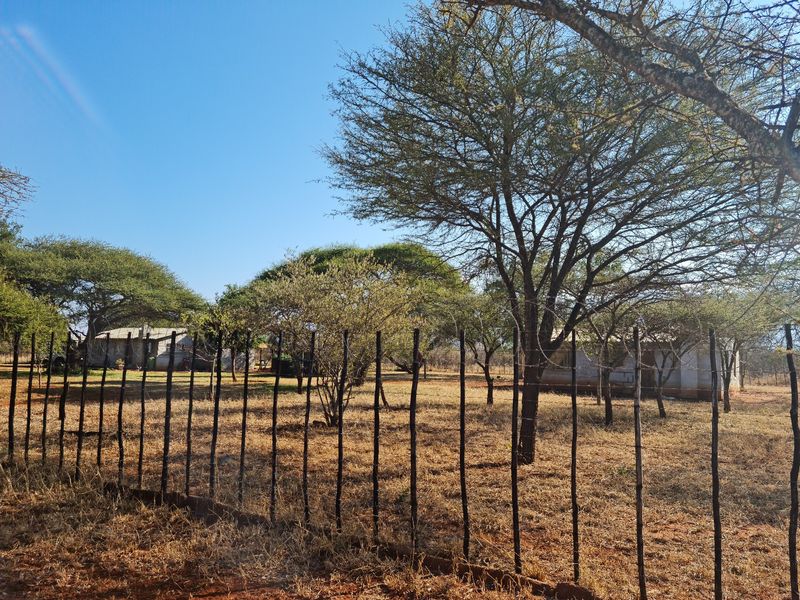 Exclusive 685 ha Game and Cattle Farm for Sale  Vivo, Limpopo, South Africa - Photo 7