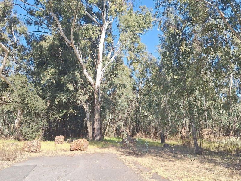 Vacant Land For Sale in Krugersrus, Springs - Photo 2