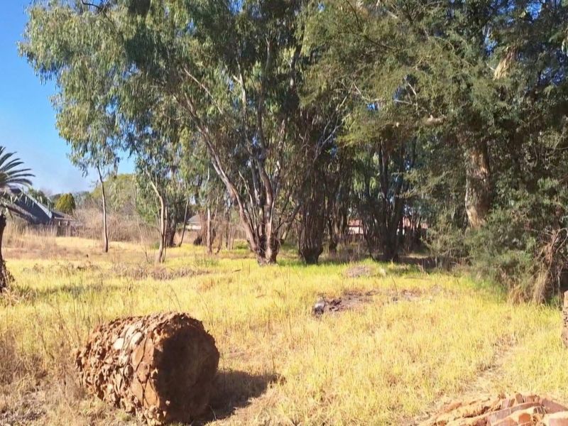 Vacant Land For Sale in Krugersrus, Springs - Photo 3
