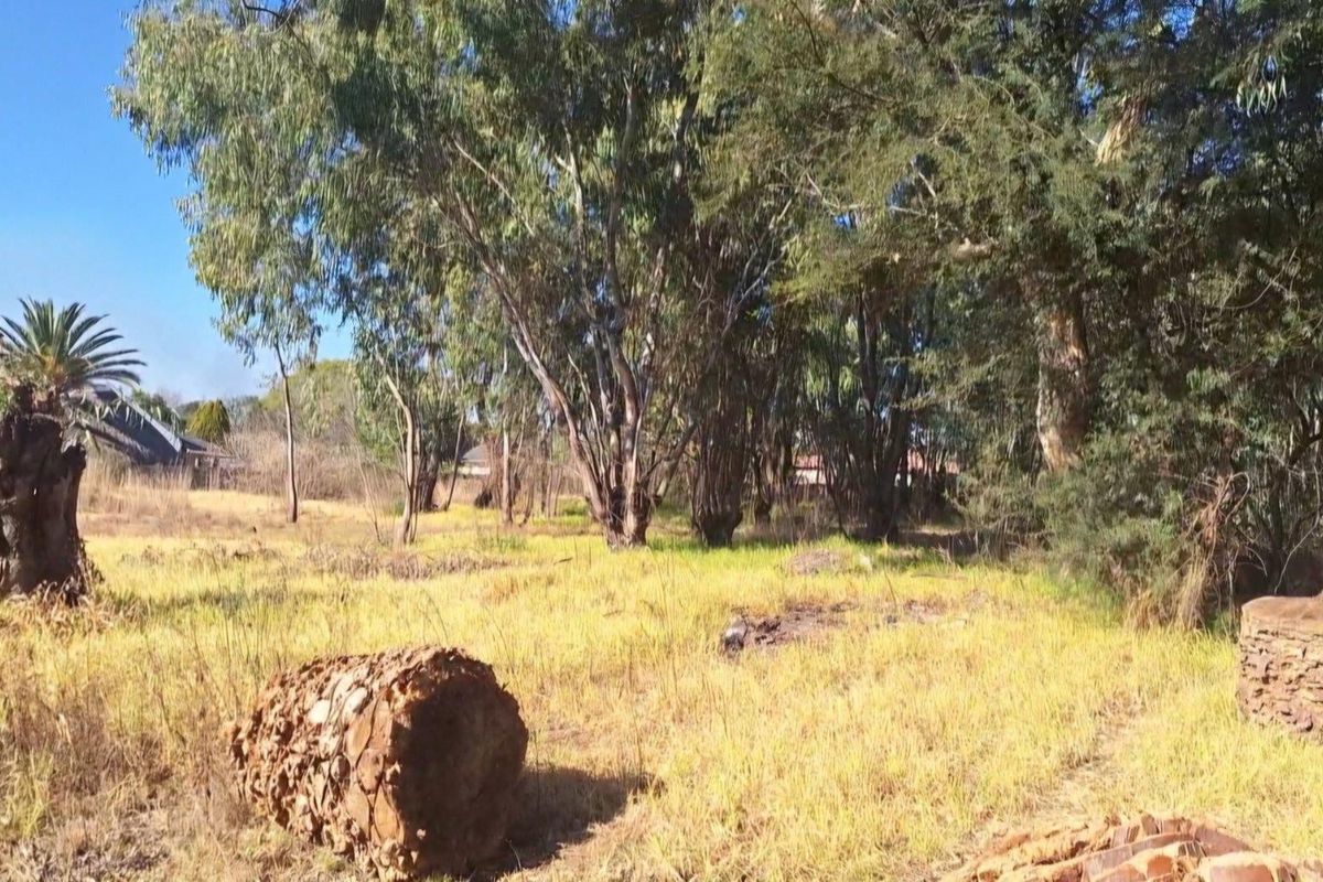 A view of a vacant residential plot featuring mature trees and natural grass cover, suitable for future development.