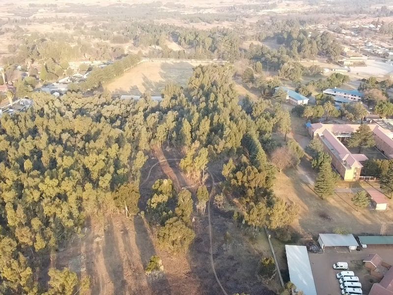 An aerial view of a large, wooded residential land parcel featuring mature trees and established pathways within a suburban neighborhood setting.