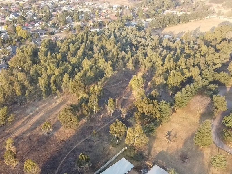 An aerial view of a large, wooded residential land plot featuring mature trees and natural pathways, situated within a developed suburban neighborhood.
