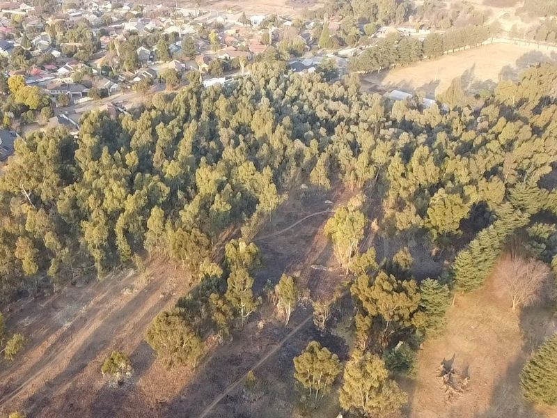 An aerial view of a large, wooded residential land parcel featuring mature trees and natural pathways, situated within an established suburban neighborhood.