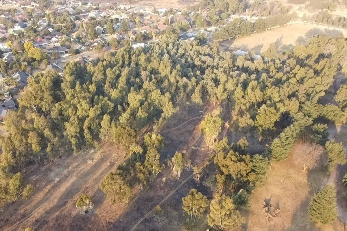 An aerial view of a large, wooded residential land parcel featuring mature trees and natural pathways, situated within an established suburban neighborhood.