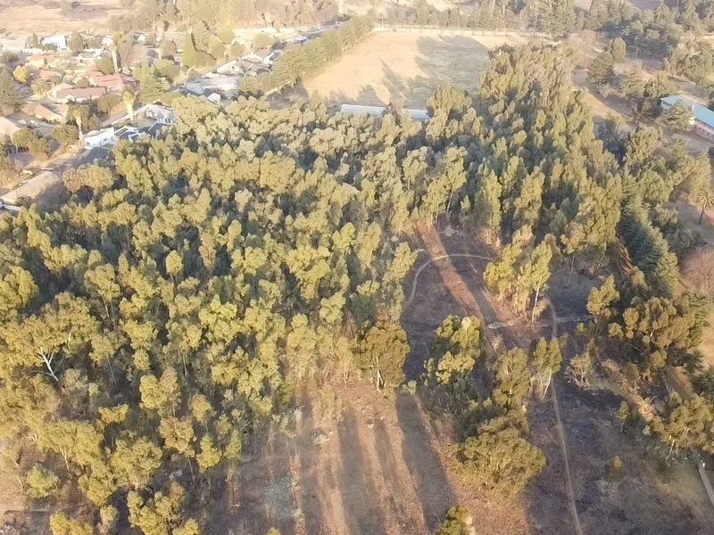 Aerial view of a large, wooded residential land parcel featuring mature trees and established pathways within a suburban setting.