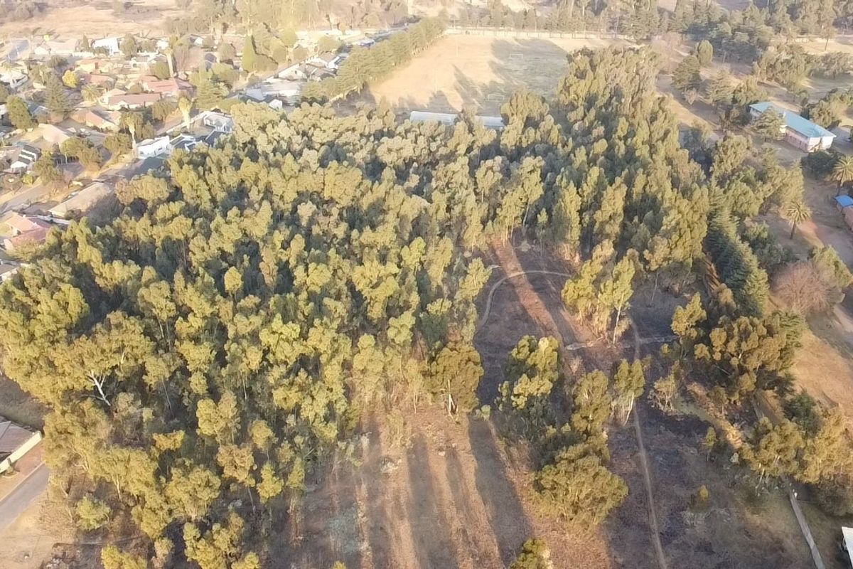 Aerial view of a large, wooded residential land parcel featuring mature trees and established pathways within a suburban setting.