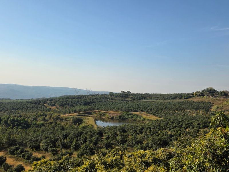 Expansive landscape view overlooking a farm with a private dam and established orchard plantations under a clear blue sky.