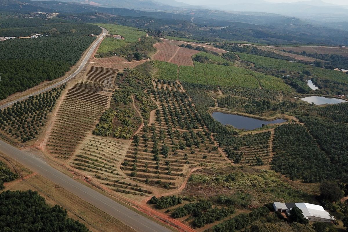 An expansive aerial view of a large farm property featuring extensive orchards, multiple dams, and established access roads within a rural landscape.