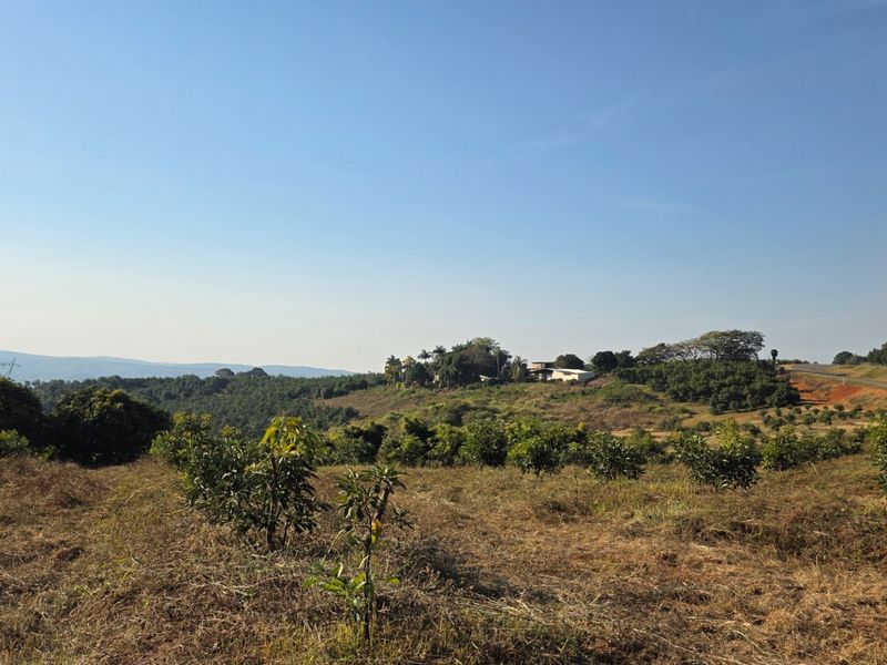 A wide-angle view of the farm landscape featuring rolling hills, established orchards, and distant horizon views under a clear blue sky.