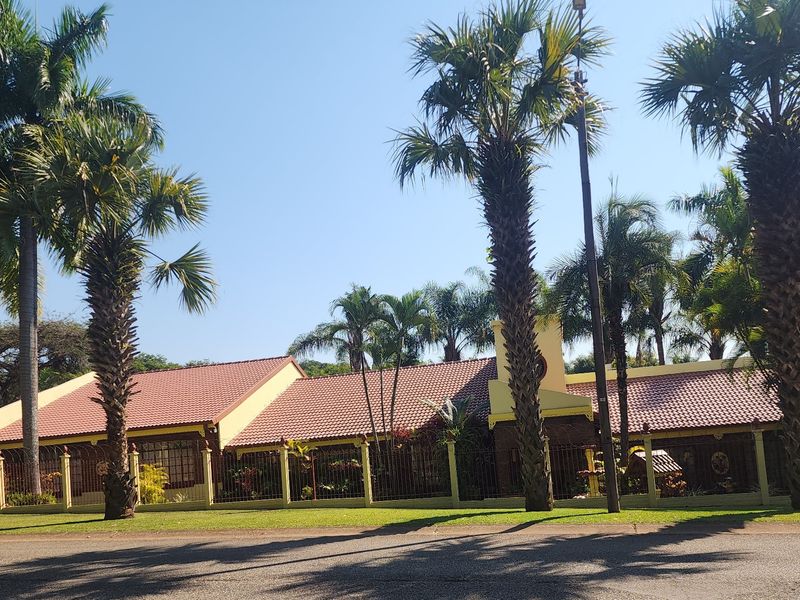Front view of a single-story house featuring a tiled roof, brick exterior, and established garden with mature palm trees and perimeter fencing.