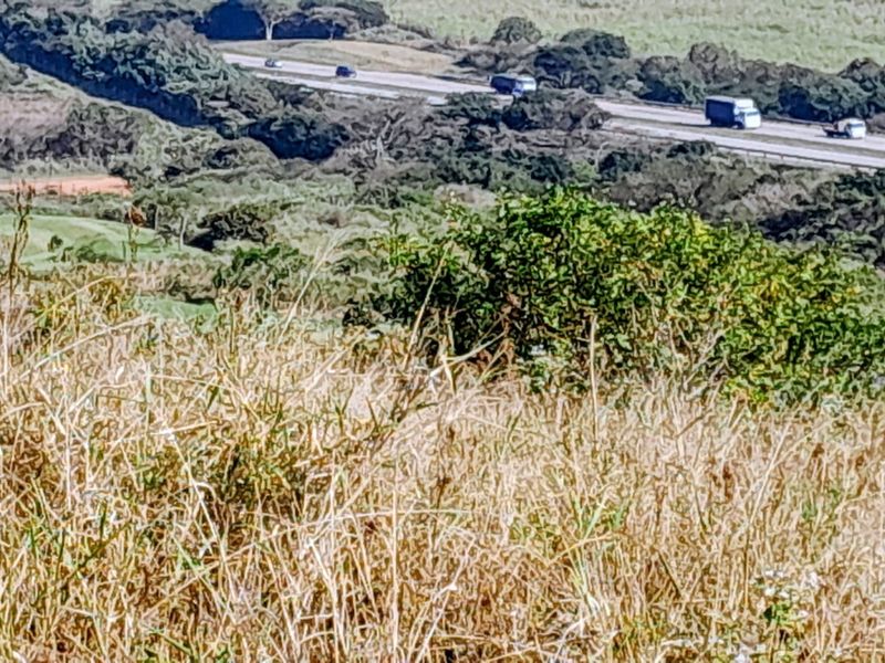 A Private Elevated Homesite with Sweeping Golf Course Views for sale | Zimbali Lakes Resort - Photo 5