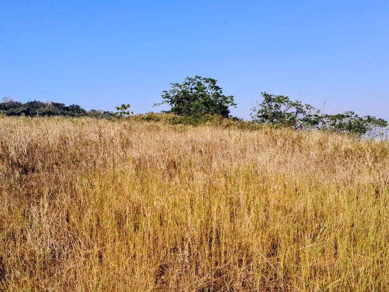 A Private Elevated Homesite with Sweeping Golf Course Views for sale | Zimbali Lakes Resort - Photo 8