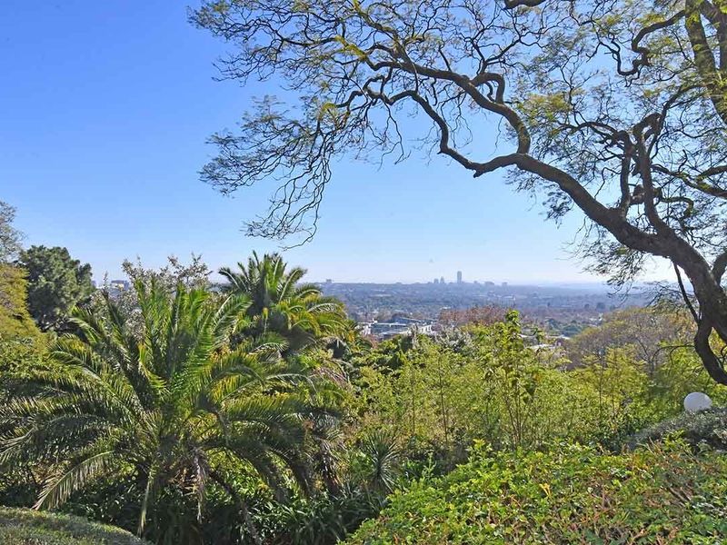 A scenic elevated view overlooking lush greenery and mature trees with a distant city skyline visible on the horizon.