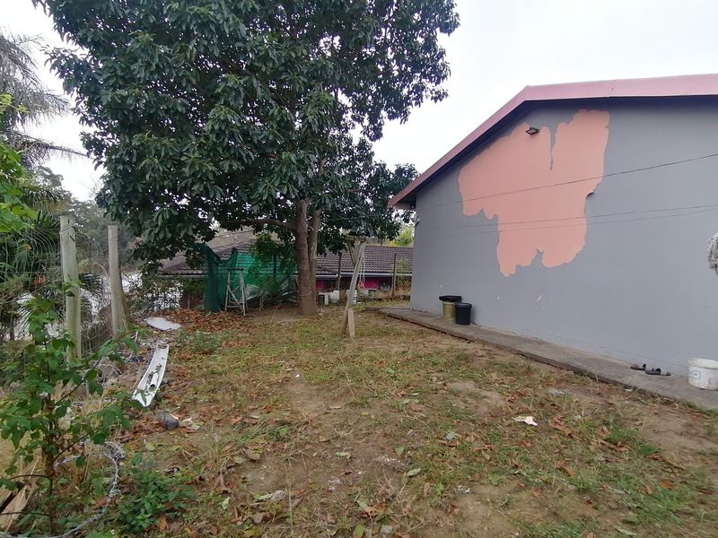 Rear exterior view of the property showing a side wall with peeling paint, a concrete pathway, and an unmaintained garden area.