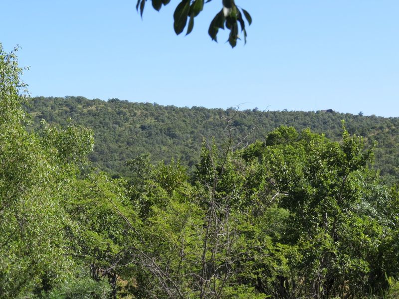 A scenic view of a lush, wooded hillside landscape, showcasing the natural beauty and greenery of the surrounding area.