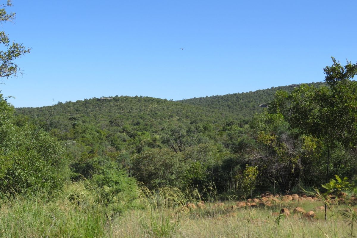 A scenic view of the natural landscape featuring dense indigenous vegetation and rocky terrain under a clear blue sky.