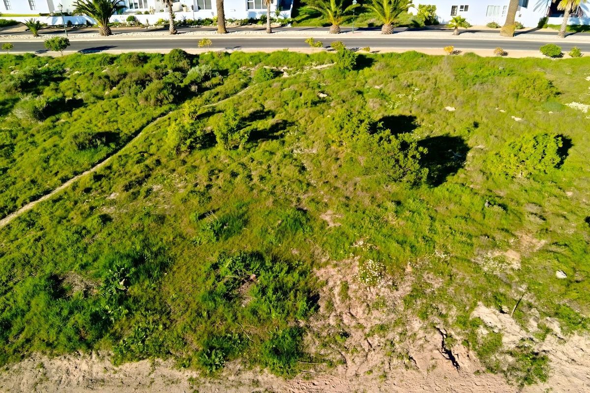 An aerial view of a vacant residential plot featuring natural vegetation, situated adjacent to a paved road and established residential properties.