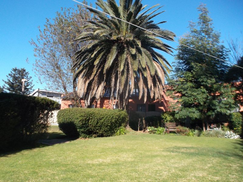 A spacious residential garden featuring a large mature palm tree, manicured hedges, and a well-maintained lawn area.