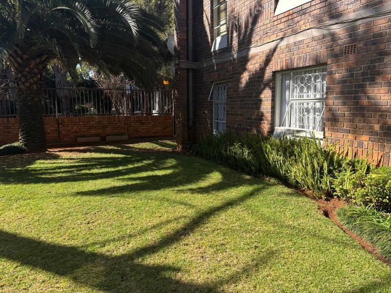 A well-maintained rear garden area featuring a brick facade, established palm tree, and secure window treatments.